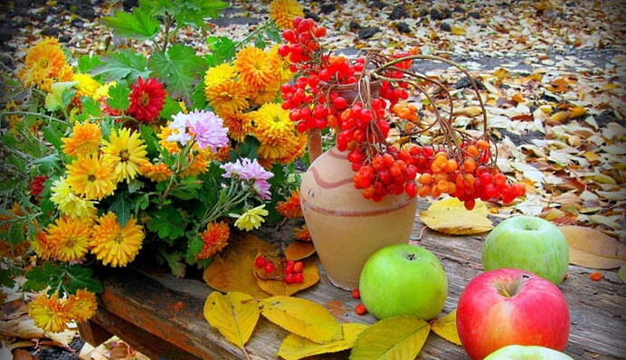 Осенний гайд: что делать в саду в сентябре и чем обработать деревья на зиму