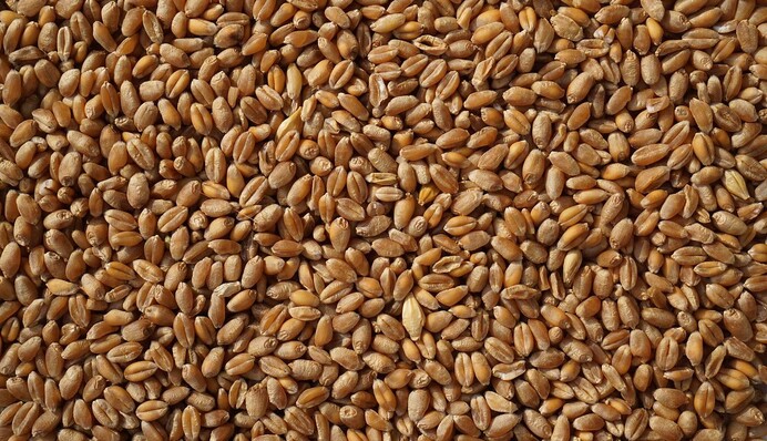 Путін і надалі шантажуватиме світ: дипломат пояснив скандальну заяву диктатора