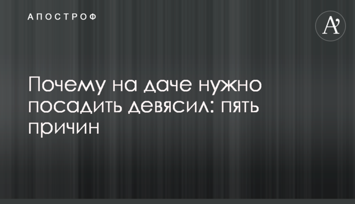 Чому на дачі потрібно посадити оман: п'ять причин