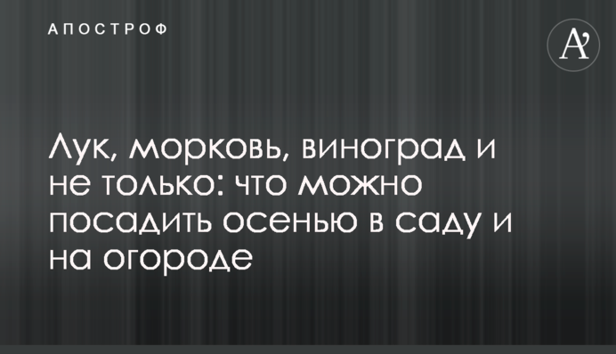 Лук, морковь, виноград и не только: что можно посадить осенью в саду и на огороде