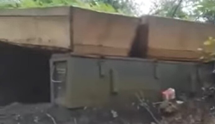 Зміцнюються трунами: український боєць зняв на відео незвичайну позицію окупантів