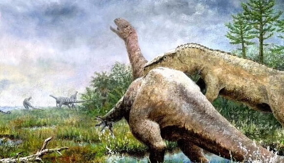 Лежал в музее без дела 100 лет: в Германии открыли скелет неизвестного динозавра