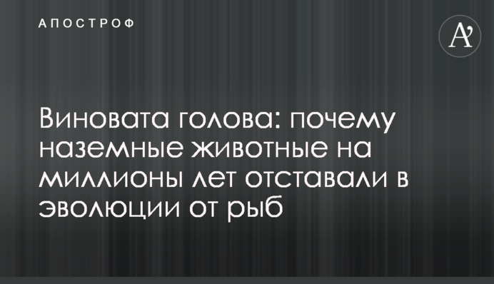 Виновата голова: почему наземные животные на миллионы лет отставали в эволюции от рыб
