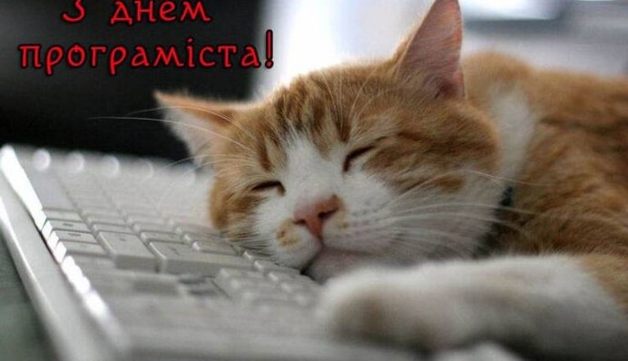 Яскраві привітання з Днем програміста у листівках, віршах та прозі