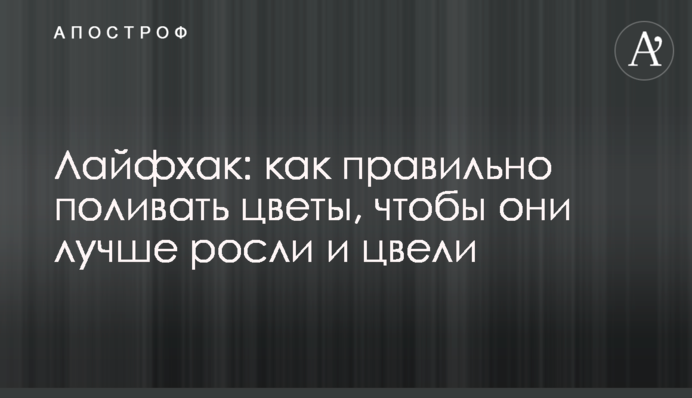 Лайфхак: как правильно поливать цветы, чтобы они лучше росли и цвели