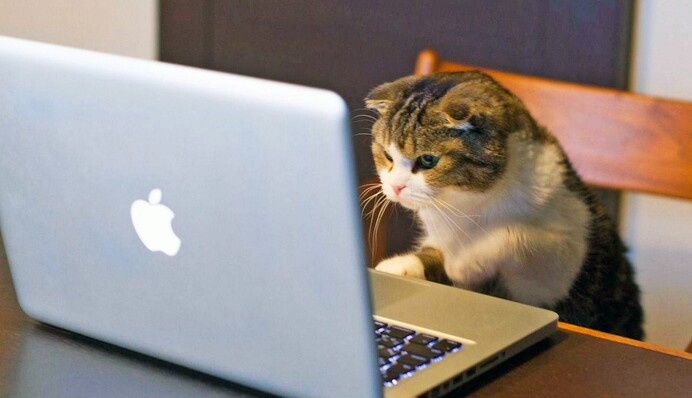 С Днем программиста! Прикольные открытки и короткие поздравления