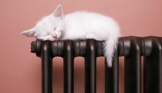 Бюджет останется в сохранности: топ-3 дешевых способа сэкономить на отоплении