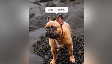 Швидке створення стікерів для Telegram в iOS 16: як це зробити