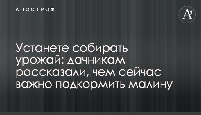 Устанете собирать урожай: дачникам рассказали, чем сейчас важно подкормить малину