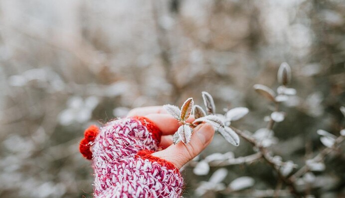 Как позаботиться о руках в холодную погоду, чтобы кожа не сохла и не трескалась
