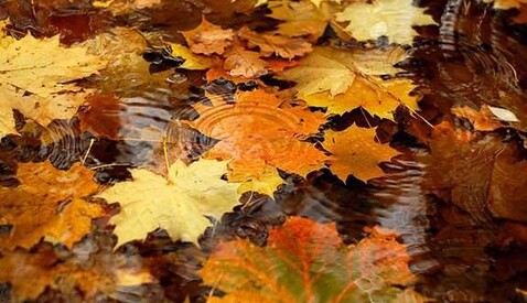 На українців чекає неприємний сюрприз: якою буде погода на вихідних