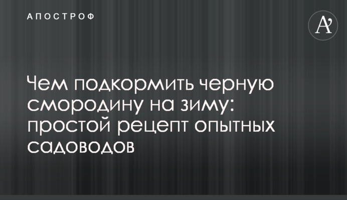 Чем подкормить черную смородину на зиму: простой рецепт опытных садоводов