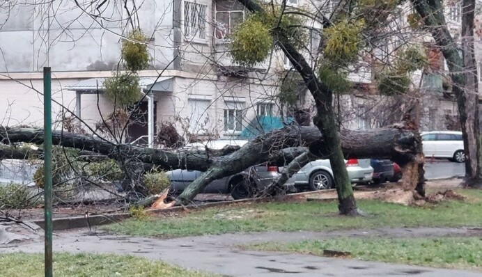 Києвом пронісся руйнівний шторм: фото та відео наслідків