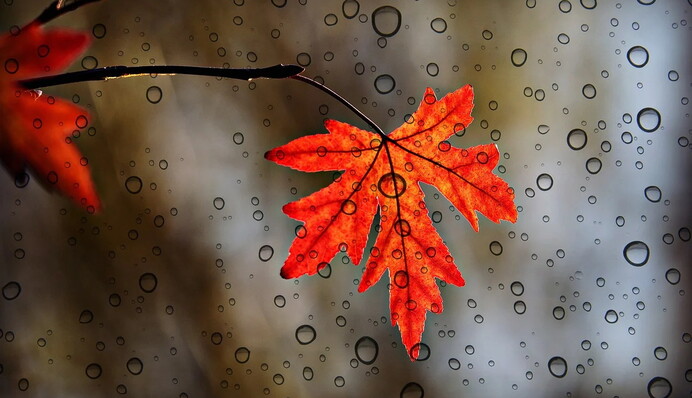 За волной дождей - солнце: какой будет погода в Украине в конце недели