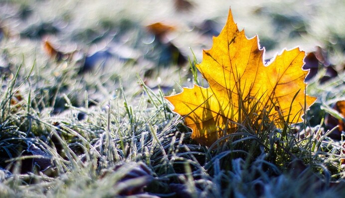 На Украину надвигаются морозные ночи: где ожидать резкого похолодания