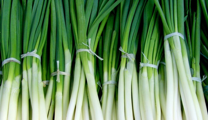 Как вырастить зеленый лук дома за 20 дней: простой способ
