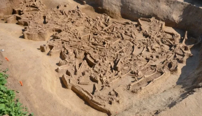 У Словаччині знайшли моторошну братську могилу, якій близько 7000 років: фото