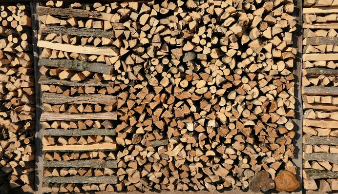Украинцы могут бесплатно получить дрова: власти назвали территории