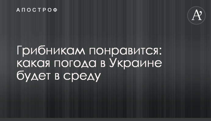 Грибникам понравится: какая погода в Украине будет в среду
