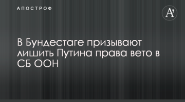 У Бундестазі закликають позбавити Путіна права вето в РБ ООН