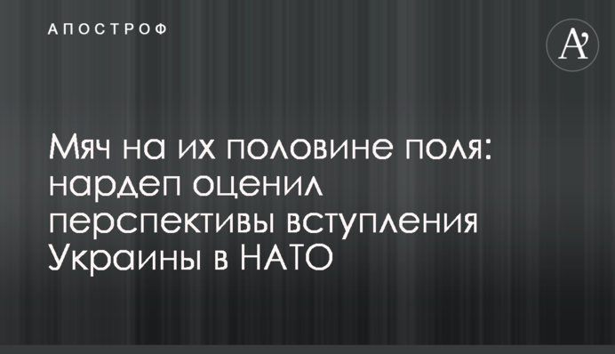 Мяч на их половине поля: нардеп оценил перспективы вступления Украины в НАТО