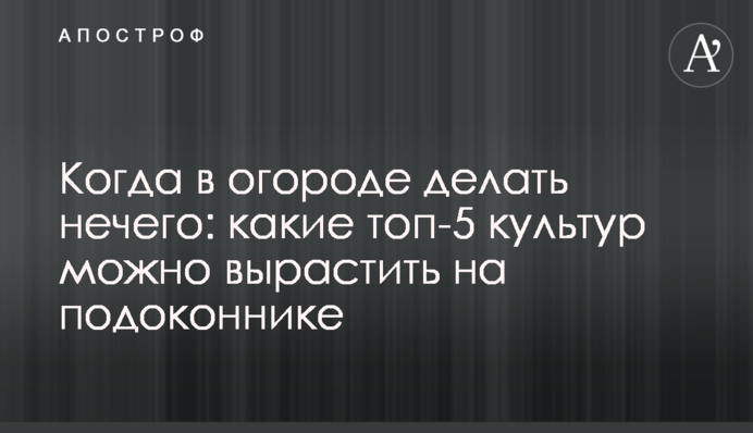Коли на городі робити нічого: які топ-5 культур можна виростити на підвіконні