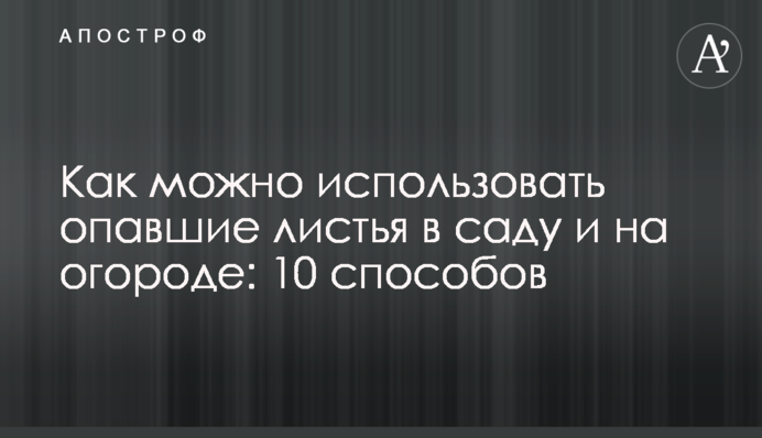 Как можно использовать опавшие листья в саду и на огороде: 10 способов