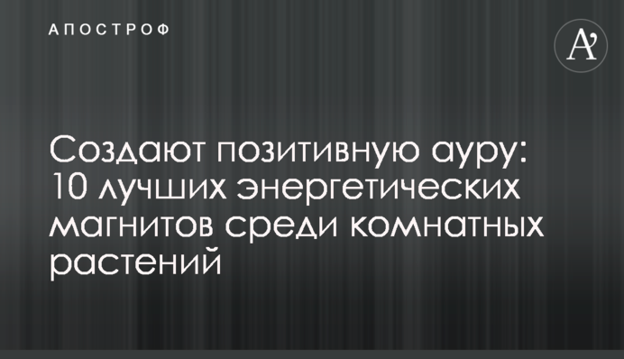 Створюють позитивну ауру: 10 найкращих енергетичних магнітів серед кімнатних рослин