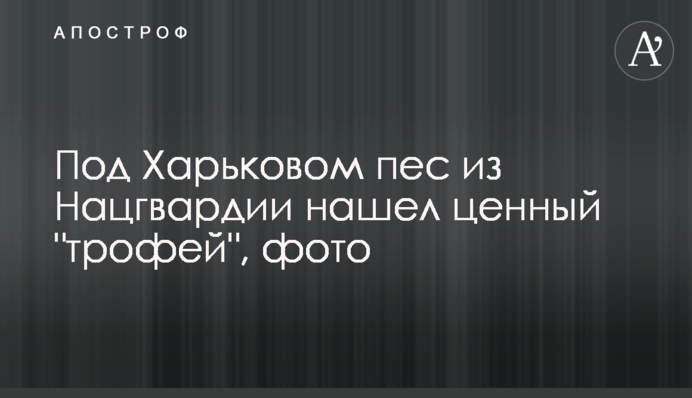 Під Харковом пес із Нацгвардії знайшов цінний 