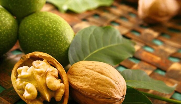 Як і де правильно зберігати волоські горіхи: поради господаркам
