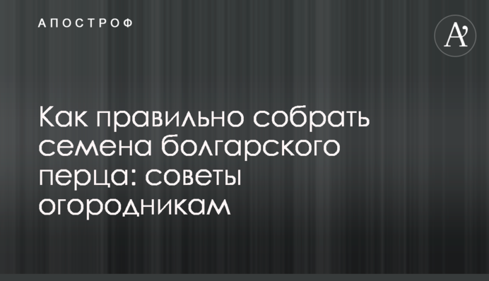 Як правильно зібрати насіння болгарського перцю: поради городникам