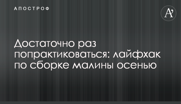 Достаточно раз попрактиковаться: лайфхак по сборке малины осенью