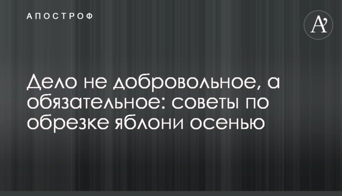 Дело не добровольное, а обязательное: советы по обрезке яблони осенью