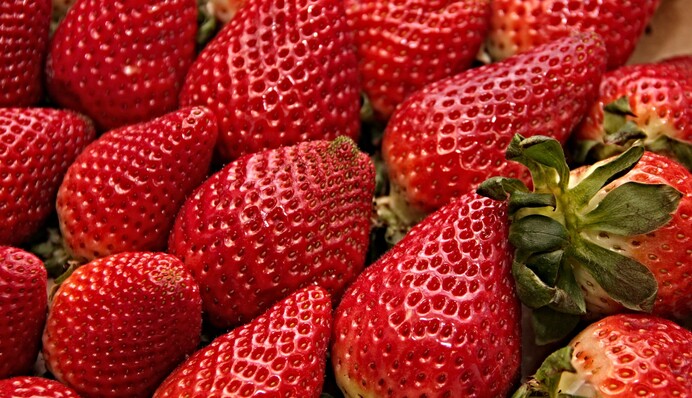 Урожай обіцяє бути багатим: корисні поради щодо підживлення полуниці у жовтні