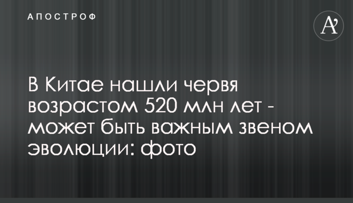 В Китае нашли червя возрастом 520 млн лет - может быть важным звеном эволюции: фото