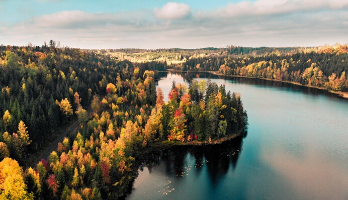 Дожди со снегом и потепление до +23: чего ждать украинцам от погоды на этой неделе