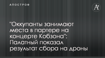 "Оккупанты занимают места в партере на концерте Кобзона": Палатный показал результат сбора на дроны