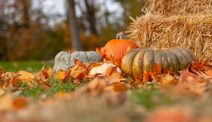 На Украину надвигаются дожди: актуальный прогноз погоды на выходные