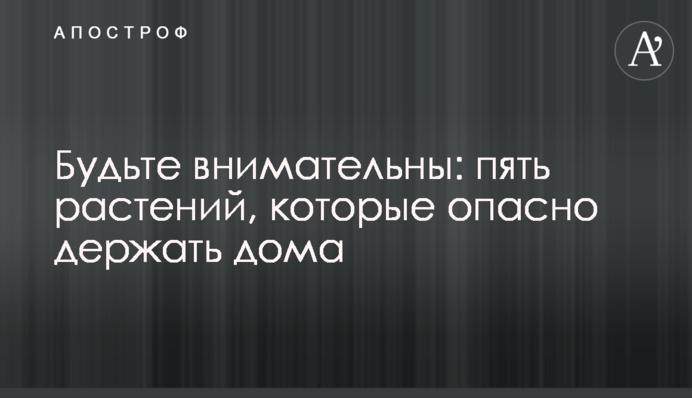 Будьте уважні: п'ять рослин, які небезпечно тримати вдома
