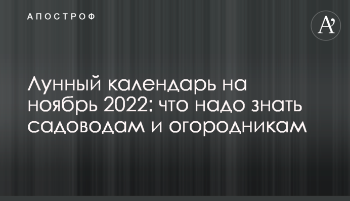 Лунный календарь на ноябрь 2022: что надо знать садоводам и огородникам