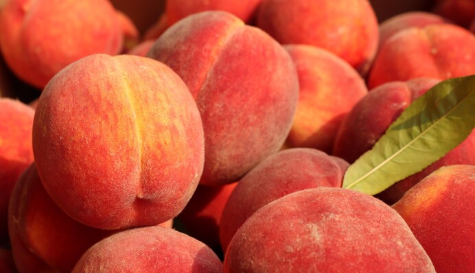 Варто звернути увагу: корисні поради щодо вибору соковитих та стиглих персиків