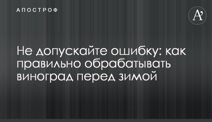 Не допускайте ошибку: как правильно обрабатывать виноград перед зимой