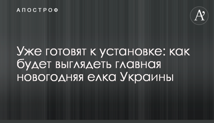 Уже готовят к установке: как будет выглядеть главная новогодняя елка Украины
