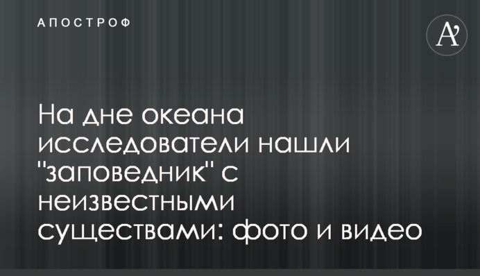На дні океану дослідники знайшли 