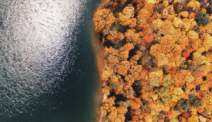 Сухая, теплая, без дождей: синоптик озвучила прогноз погоды в Украине 13 ноября