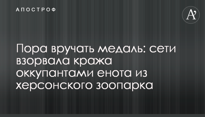 Настав час вручати медаль: мережі підірвала крадіжка окупантами єнота з херсонського зоопарку