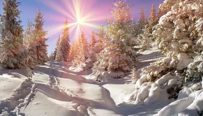 Будут ли в Украине  сильные морозы и сугробы: синоптик дал прогноз на зиму