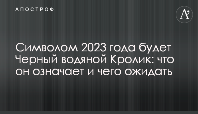 Символом 2023 года будет Черный водяной Кролик: что он означает и чего ожидать