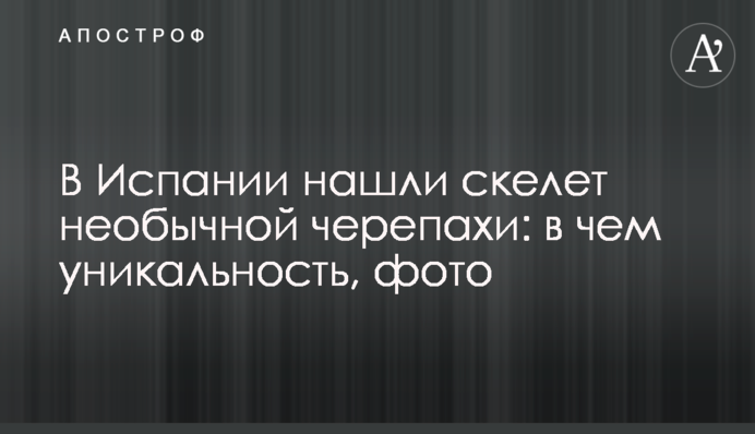 В Іспанії знайшли скелет незвичайної черепахи: у чому унікальність, фото