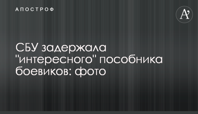 СБУ задержала 